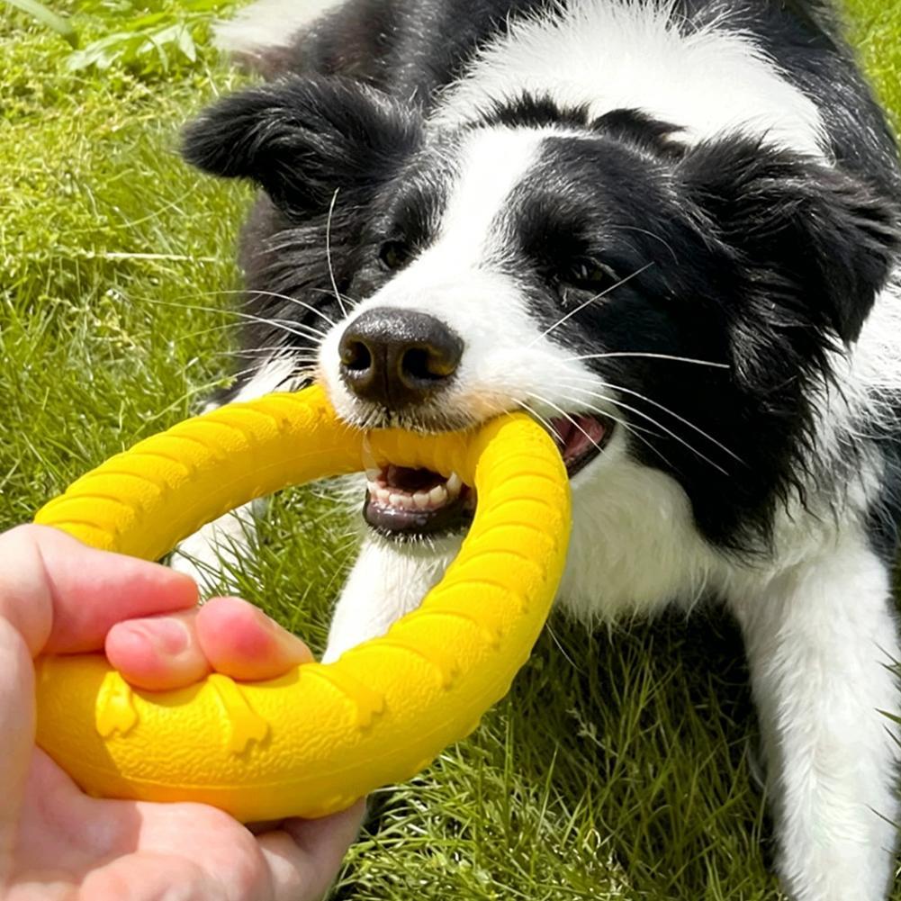 ألعاب خواتم للكلاب، غير قابلة  - مراجعة Indestructible Dog Chew Toy وسعره